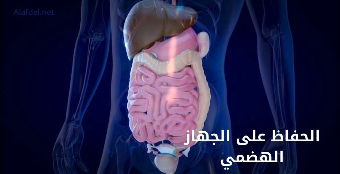 صورة تعبر عن مكونات الجهاز الهضمي للإنسان، ومكتوب عليه: الحافاظ على الجهاز الهضمي