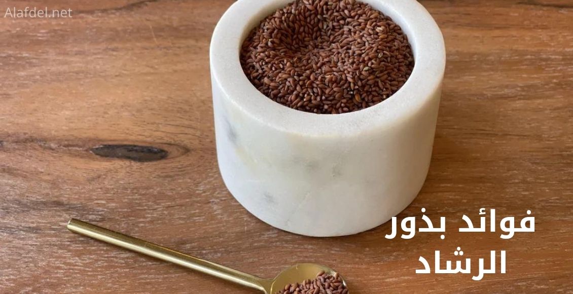 طبق أبيض يحتوي على بذور حب الرشاد وجنبه ملعقة ومكتبو على الصورة فوائد بذور الرشاد benefits of cress seeds