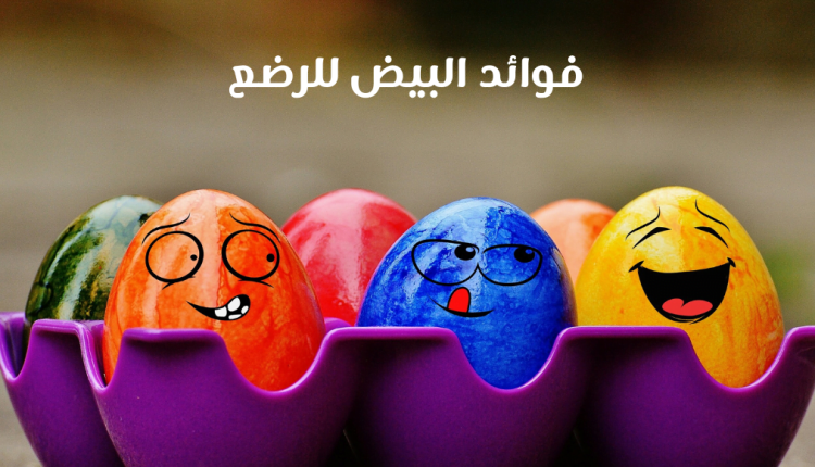 صورة بها عدد من الطبق الملون في طبق الذي يبتسم ومكتوب عليها فوائد البيض للرضع benefits of eggs for infants