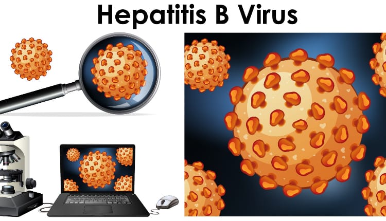 صورة فيروس مكبرة تحت الميكروسكوب معبرة عن فيروس ب، أحد أنواع التهاب الكبد الوبائي