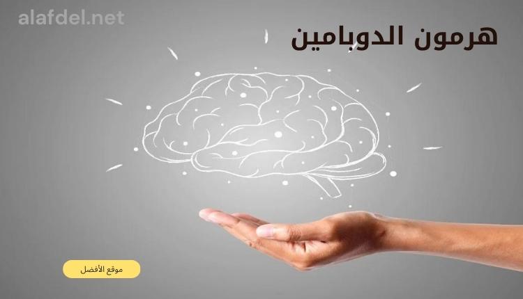 صورة بها يد فوقها شكل مخ إنسان وذلك ضمن الحديث عن هرمون الدوبامين Dopamine hormone