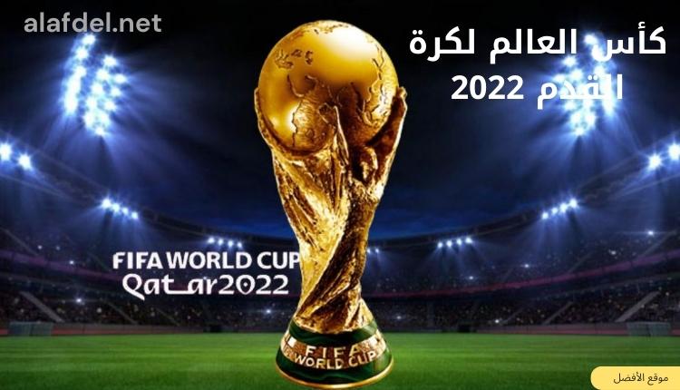 صورة يظهر بها هدية كأس العالم وخلفه أحد الملاعب ضمن الحديث عن كأس العالم لكرة القدم 2022