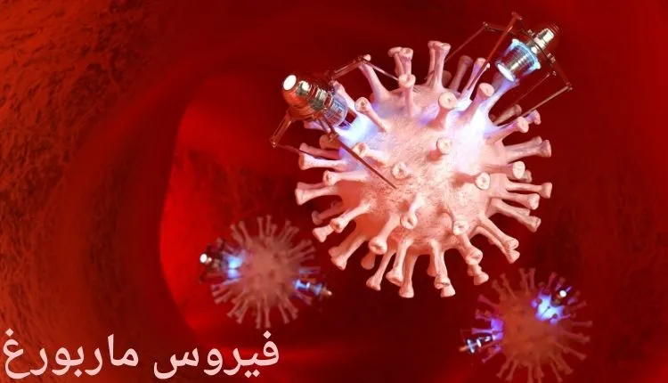 صورة بها شكل لخلايا الدم وخلفية حمراء مكتوب عليها فيروس ماربورغ Marburg virus