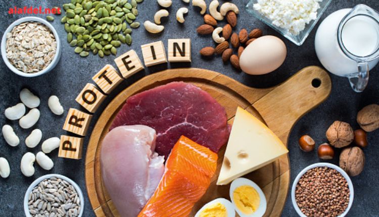 صورة تحتوي على أطعمة غنية بالبروتين تظهر فوائد البروتين للعضلات The benefits of proteins for muscles