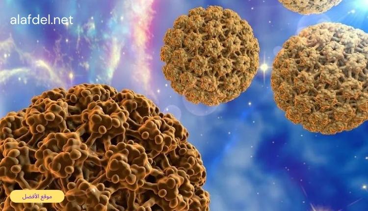 صورة بها شكل لفيروس الورم الحليمي البشري (HPV) وذلك عند الحديث عن مخاطر الجنس الفموي