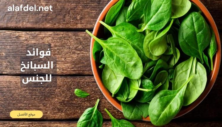 صورة بها طبق يحتوي على خضار السبانخ وبجواره مكتوب فوائد السبانخ للجنس Benefits of spinach for sex