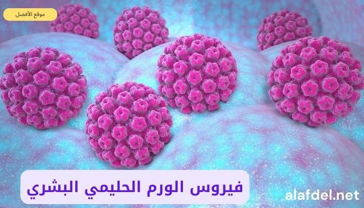 صورة ملتقطة من تحت المكروسكوب ضمن الحديث عن فيروس الورم الحليمي البشري Human papilloma virus