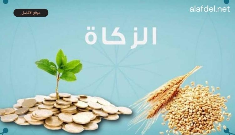 صورة بها نقود معدنية وحبوب قمح ونخلة ضمن الحديث عن معلومات عن الزكاة Information about zakat