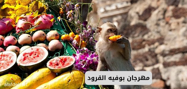 صورة تعبر عن مهرجان بوفيه القرود في تايلاند ضمن الحديث عن أغرب التقاليد في العالم