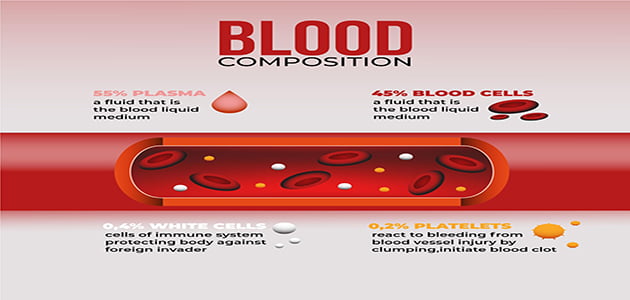 A picture showing the components of the blood, which shows four sections and written what is hemophilia