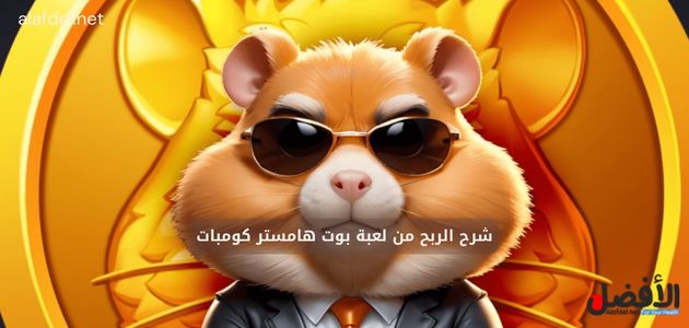 شرح الربح من لعبة بوت هامستر كومبات Hamster Kombat