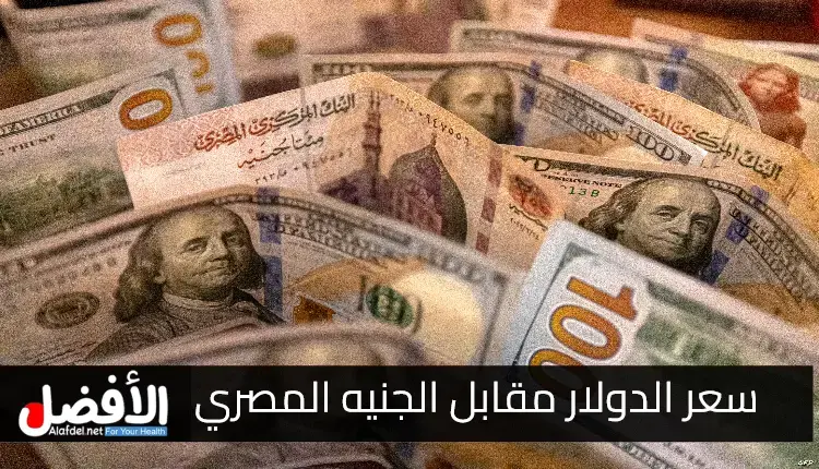 سعر الدولار مقابل الجنيه المصري: العوامل الاقتصادية والسياسية المؤثرة