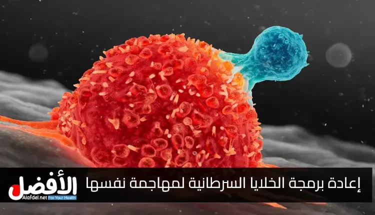 إعادة برمجة الخلايا السرطانية لمهاجمة نفسها