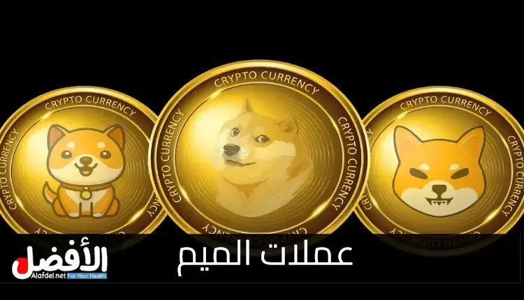 عملات الميم (Meme Coins).. ما هي، أمثلة، الإيجابيات والسلبيات