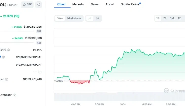 ارتفاع سعر عملة بوبكات ($POPCAT)