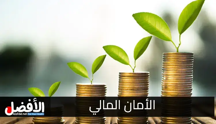 تحقيق الأمان المالي في الولايات المتحدة الأمريكية