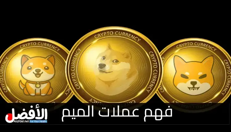 فهم عملات الميم: Understanding Meme Coins