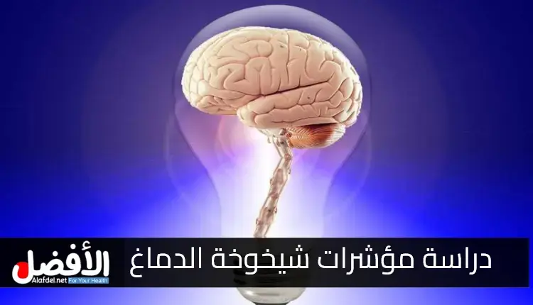 مؤشرات شيخوخة الدماغ: دراسة استمرت 20 عامًا