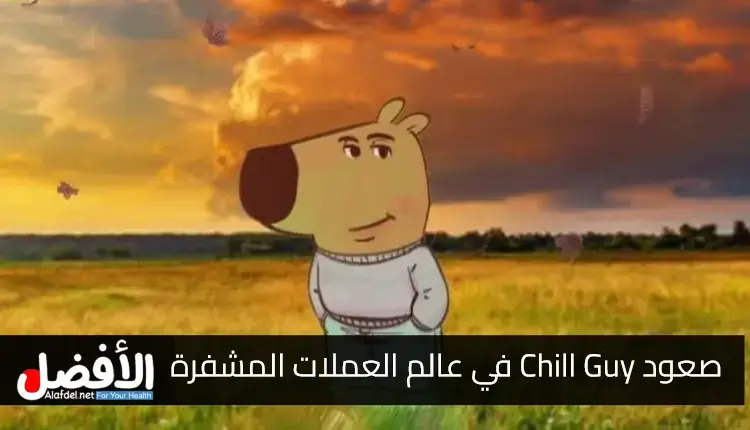 صعود Chill Guy: من مجرد ميم إلى ضجة كبيرة في عالم العملات المشفرة بملايين الدولارات