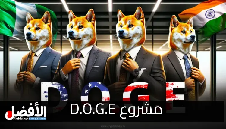 مشروع D.O.G.E وهل يمكن لنيجيريا والهند الاستفادة من تجربة ماسك وترامب