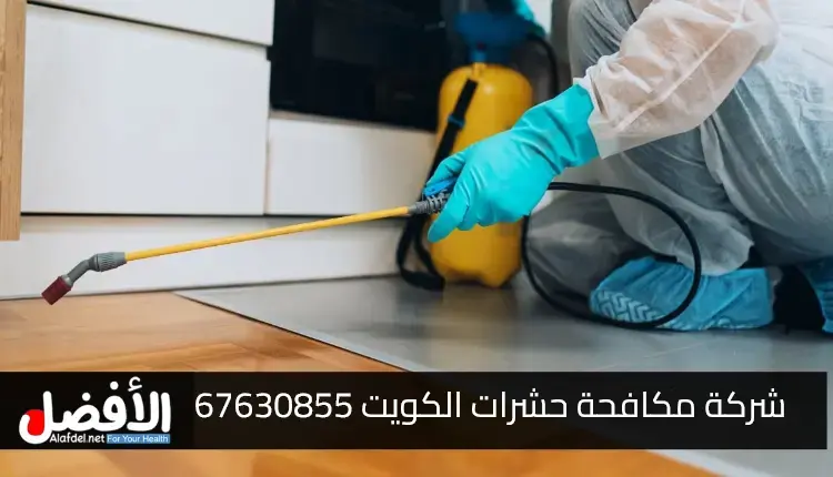 أفضل شركة مكافحة حشرات الكويت مع بيان خدمات هذه الشركة