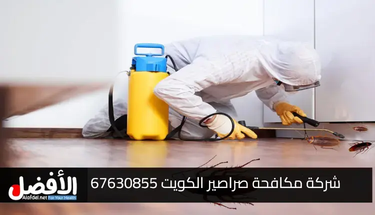 افضل شركة مكافحة صراصير الكويت