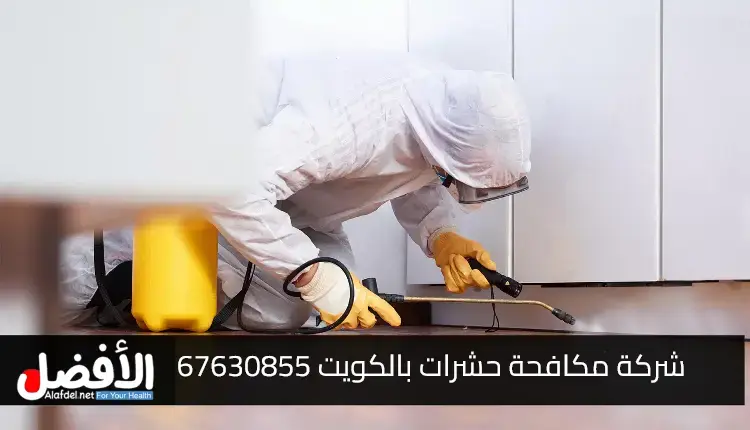 شركة مكافحة حشرات بالكويت