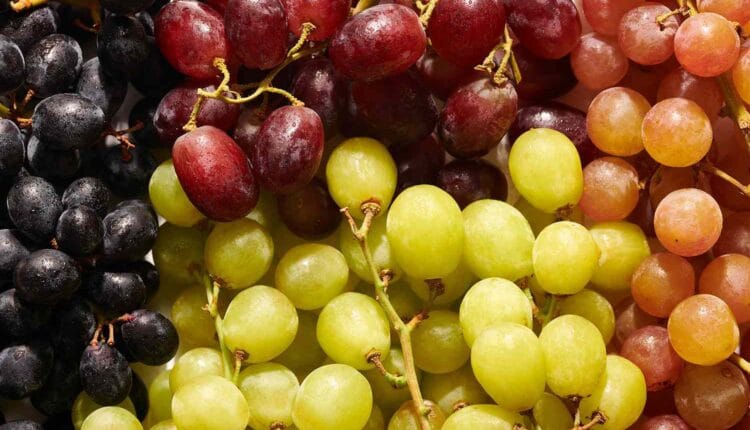 أفضل فاكهة لتقوية الذاكرة