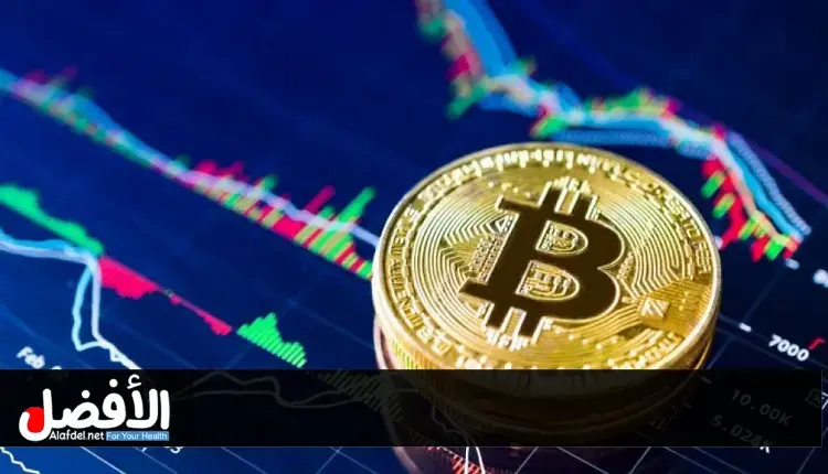الدليل الشامل للمبتدئين للاستثمار في العملات الرقمية
