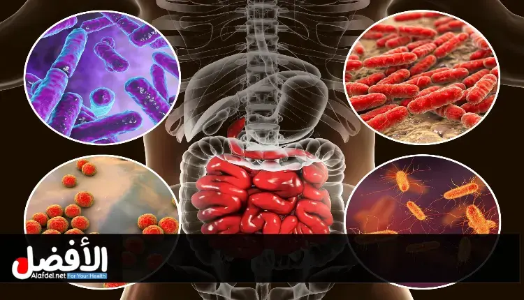 التعرف على العلاقة بين صحة الأمعاء ومشاكل البشرة