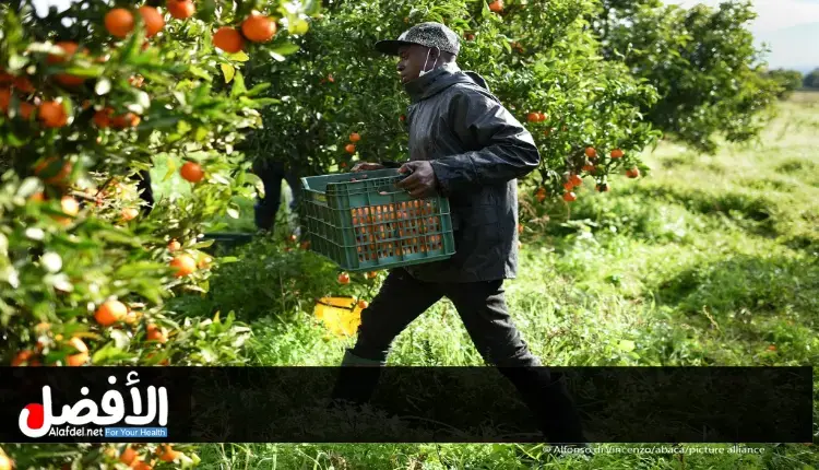 Working in agriculture in Spain