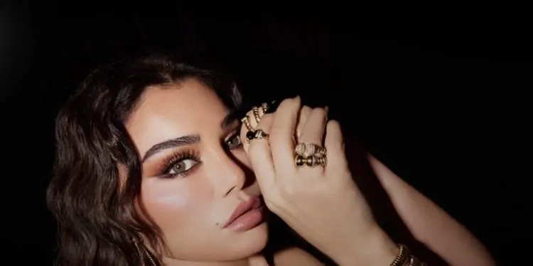 صورة بها الفنانة هيفاء وهبي ضمن الحديث عن سكس هيفاء وهبي في غرفة النوم