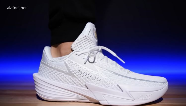 Wade Flash 2 Review 2026