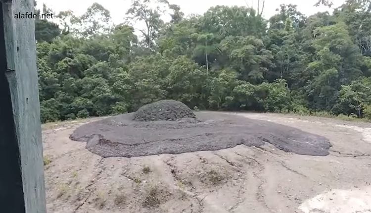 World’s Most Bizarre Natural Phenomena