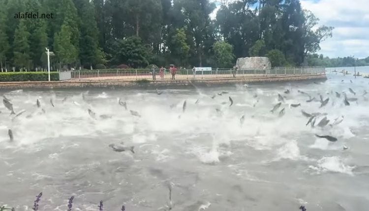 World’s Most Bizarre Natural Phenomena