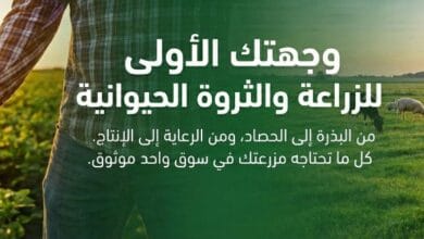 دور سوق المزارع في ربط العرض بالطلب داخل القطاع الزراعي