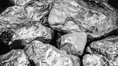 Palladium Hunting Guide