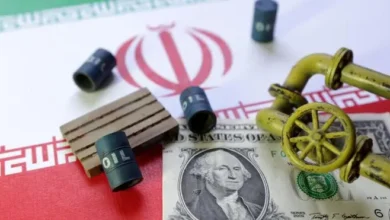 The Iranian system and resource management