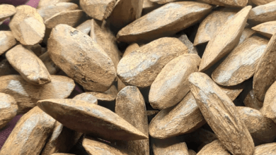 افضل انواع العود الإندونيسي