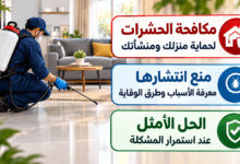 أفضل مكافحة الحشرات في مصر