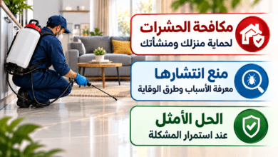 أفضل مكافحة الحشرات في مصر